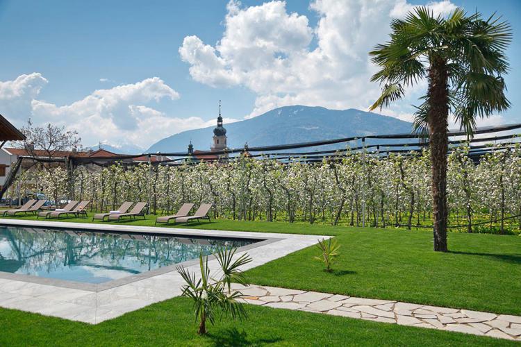 Swimming pool for our guests