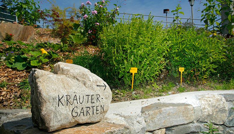 Aromatic herb garden for our guests