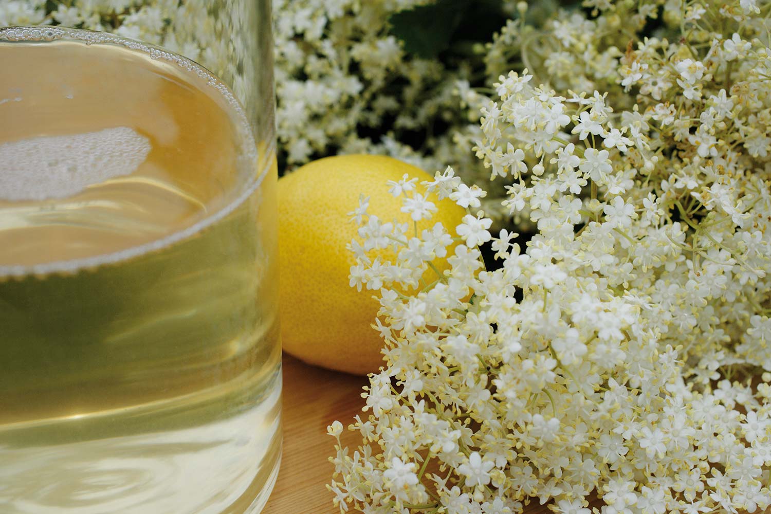 Selbstgemachter Holunderblütensaft