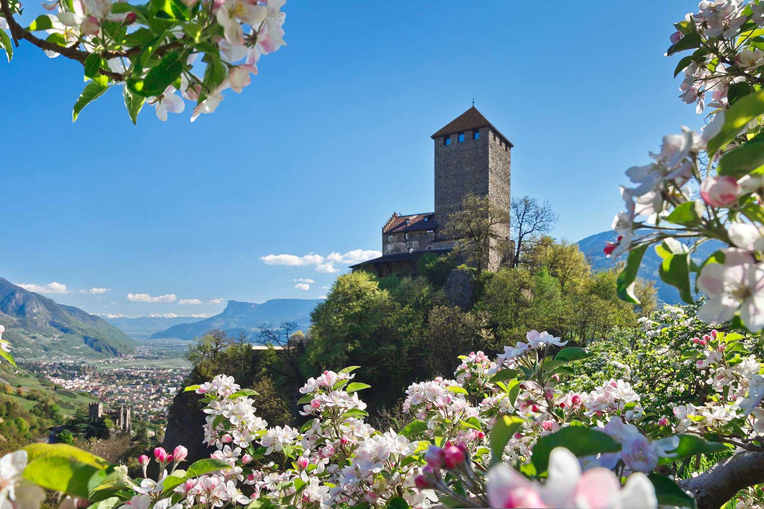 Tirol castle in spring
